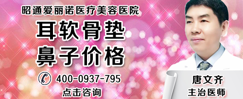 呆狐网