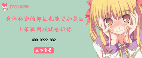 呆狐网